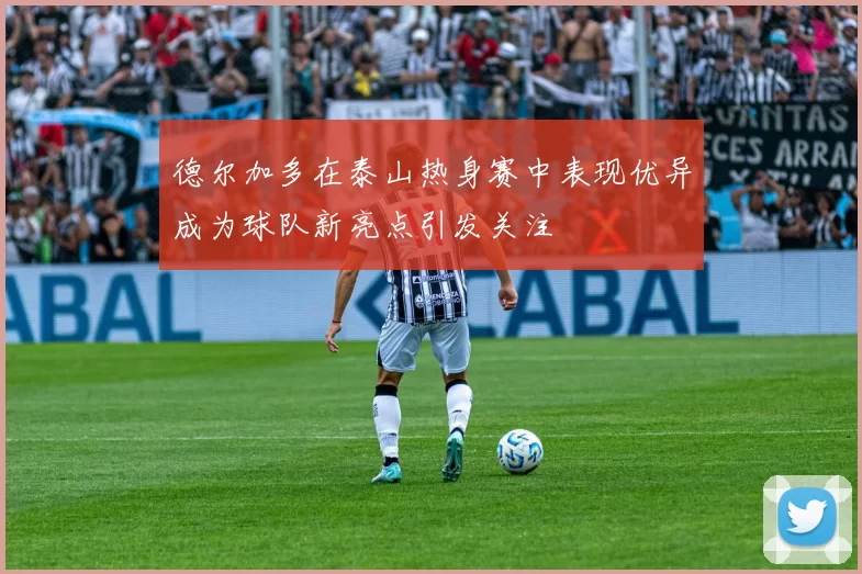 德尔加多在泰山热身赛中表现优异成为球队新亮点引发关注