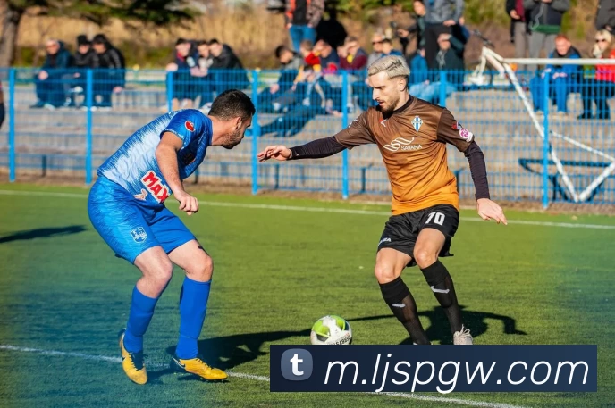 乐竞体育官网APP 封面图